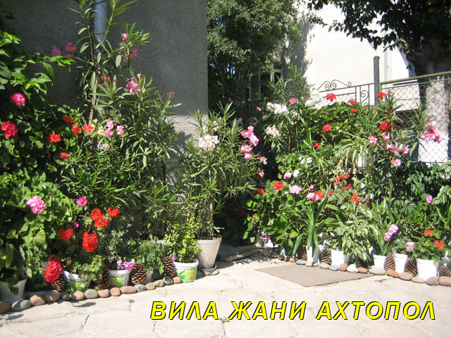 Вила Жани Ахтопол стаи